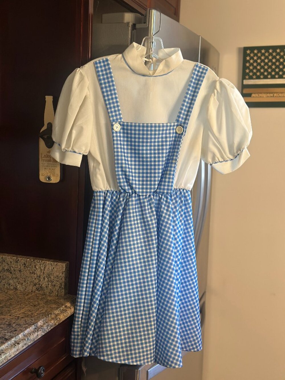 Halloween Costume-Dorothy Wizard of Oz Dress and Wig- Fits teen or small adult